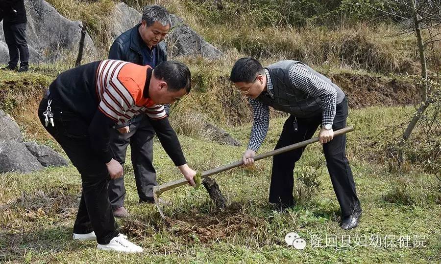 《拥抱春天 播种绿色》义物植树活动