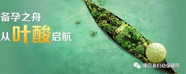 关注宝宝一生健康，从叶酸开始